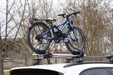 Farad Pesio faradbox.nl