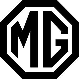 Dakdrager voor MG Motor